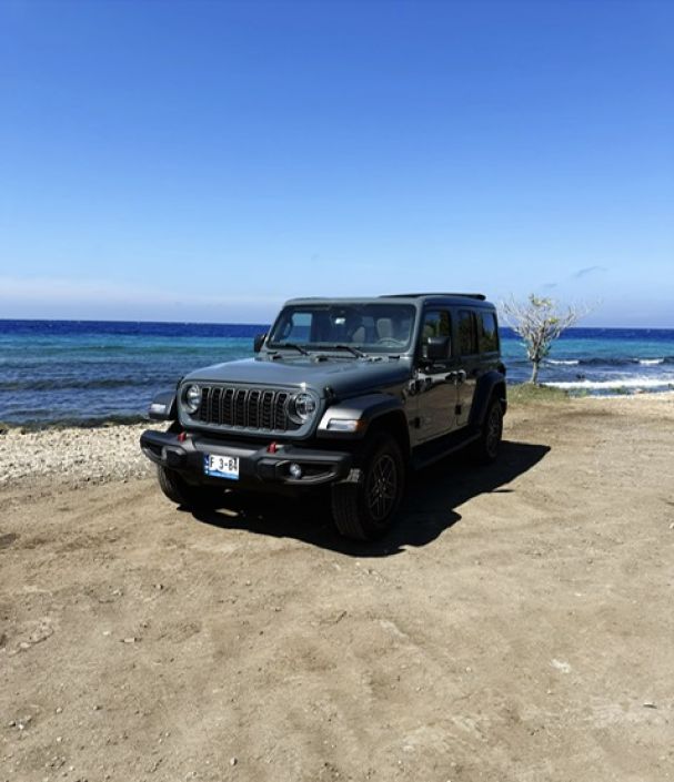 JEEP WRANGLER SAHARA benzine Cabrio met elektrisch Sunroof Unlimited ( 2025)