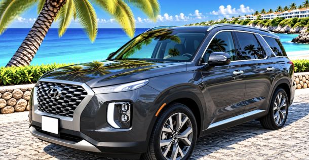 HYUNDAI PALISADE ARUBA